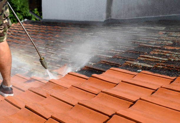 Best Commercial Building Pressure Washing  in Cave Creek, AZ