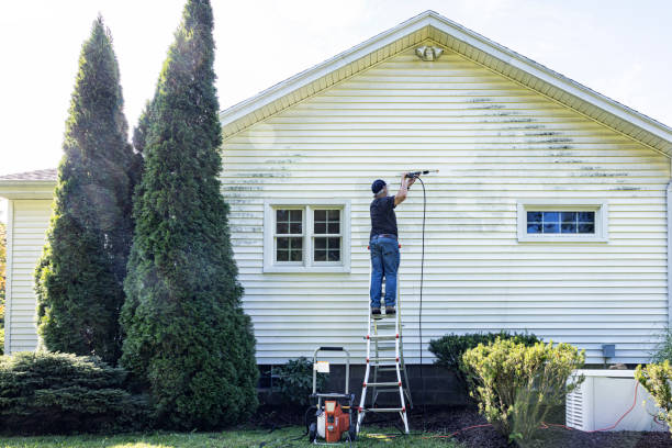 Why Choose Our Certified Pressure Washing Experts for Your Project Needs in Cave Creek, AZ?