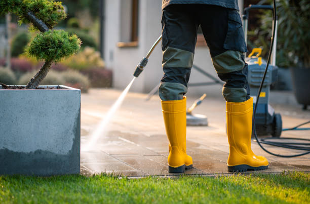 Best Roof Pressure Washing  in Cave Creek, AZ